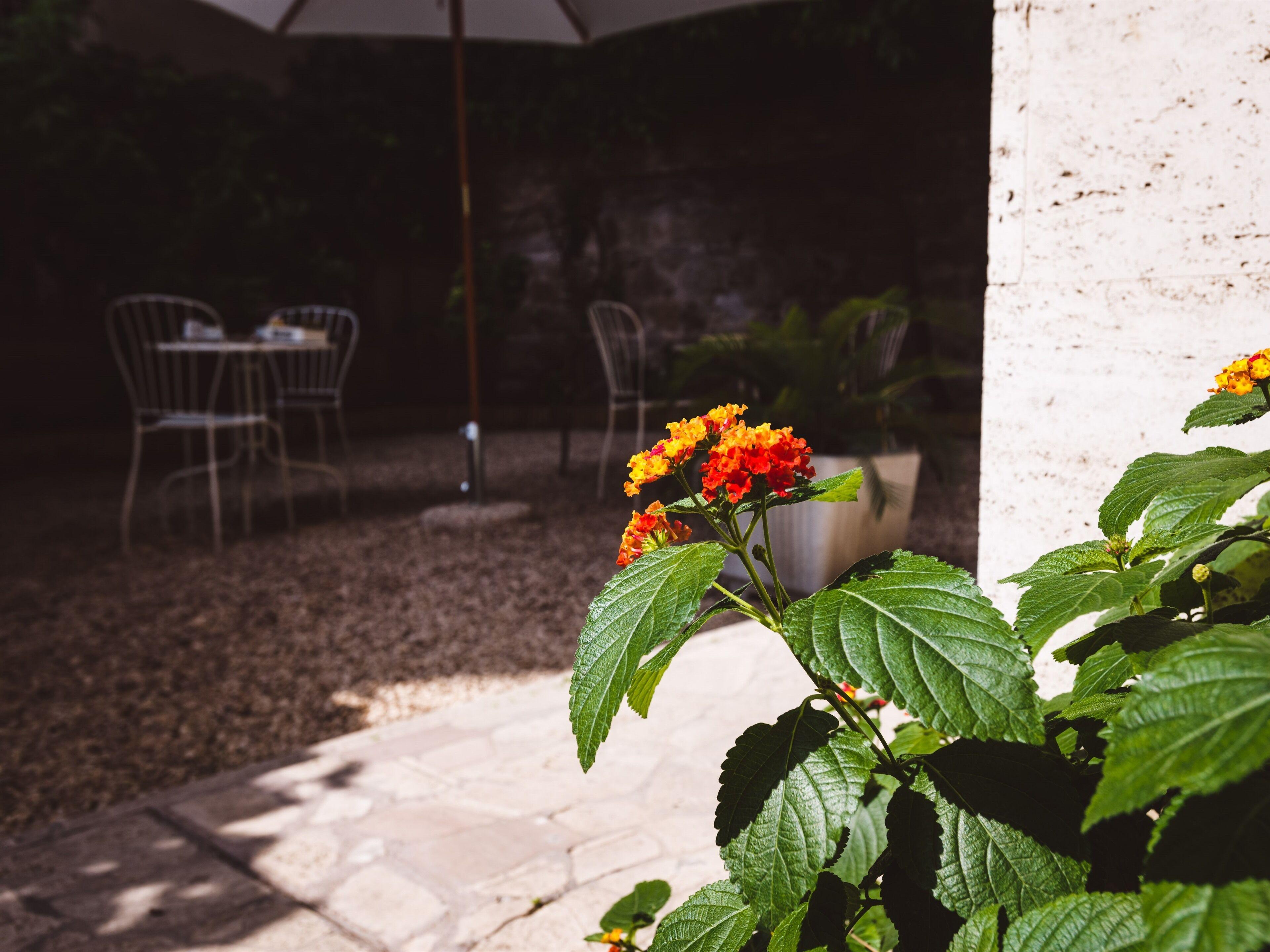 Relais Circo Massimo — Photos 3